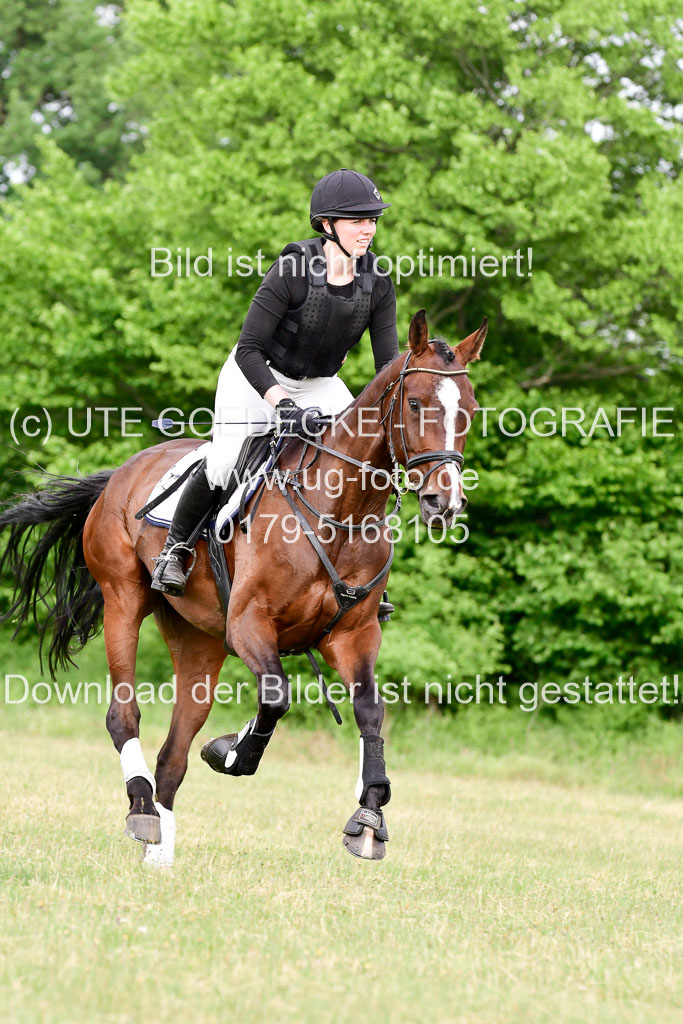 SH-Landeschampionat  der 6 j. Geländepferde  Kl L | 090621 - SH Landeschamp GPF L_104 