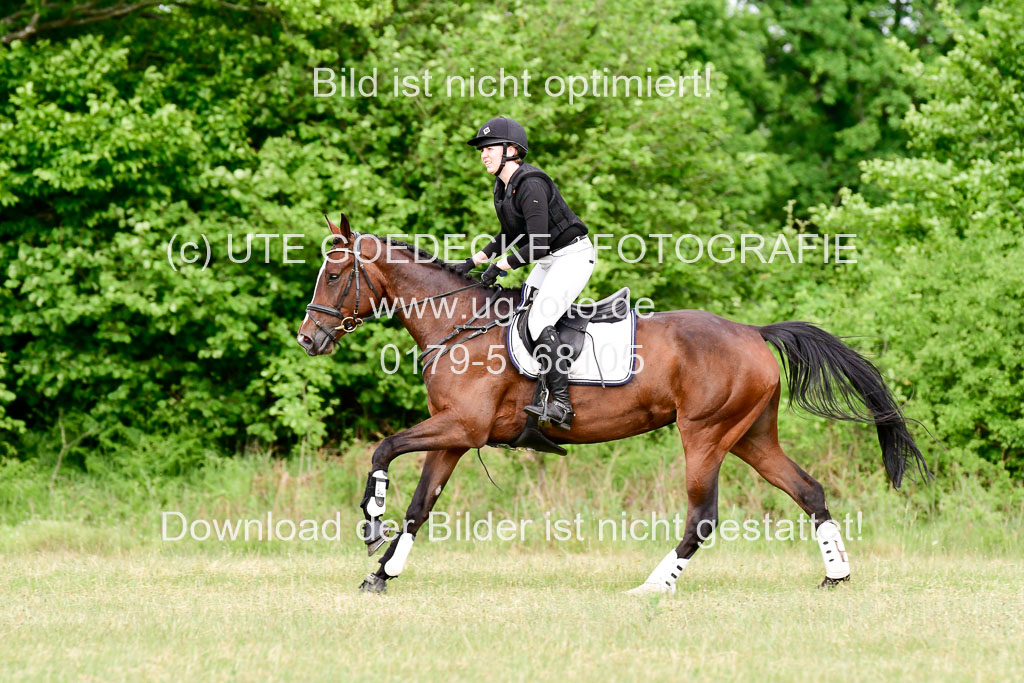 SH-Landeschampionat  der 6 j. Geländepferde  Kl L | 090621 - SH Landeschamp GPF L_106 