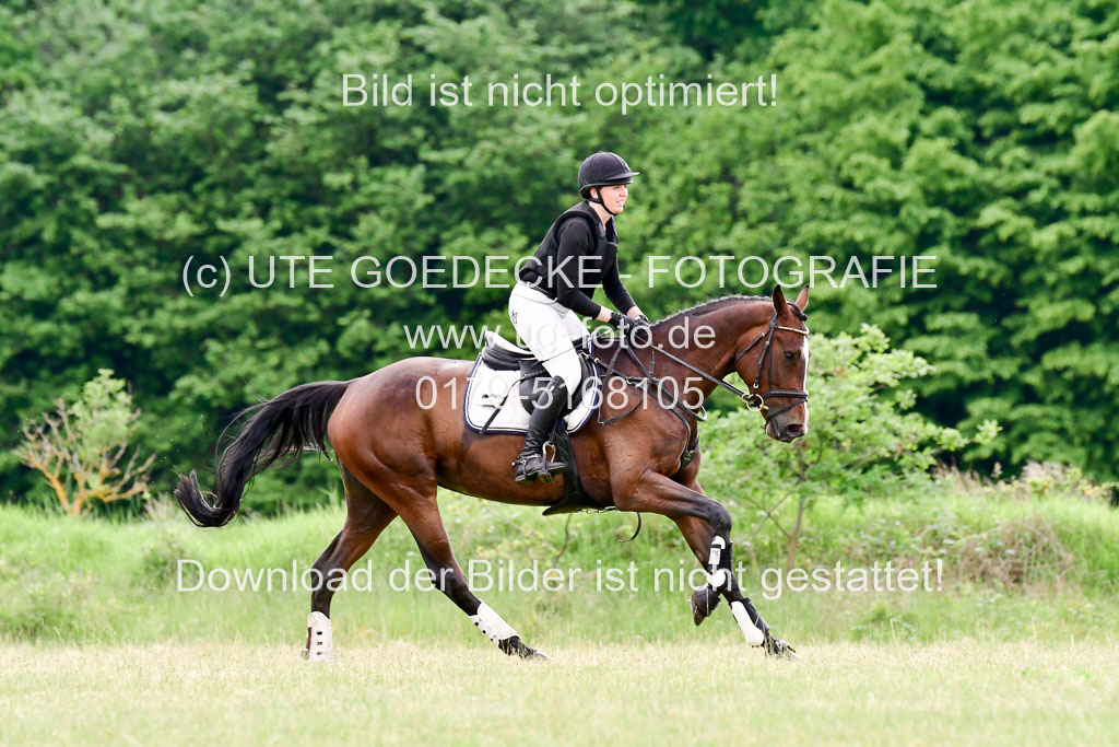 SH-Landeschampionat  der 6 j. Geländepferde  Kl L | 090621 - SH Landeschamp GPF L_108 