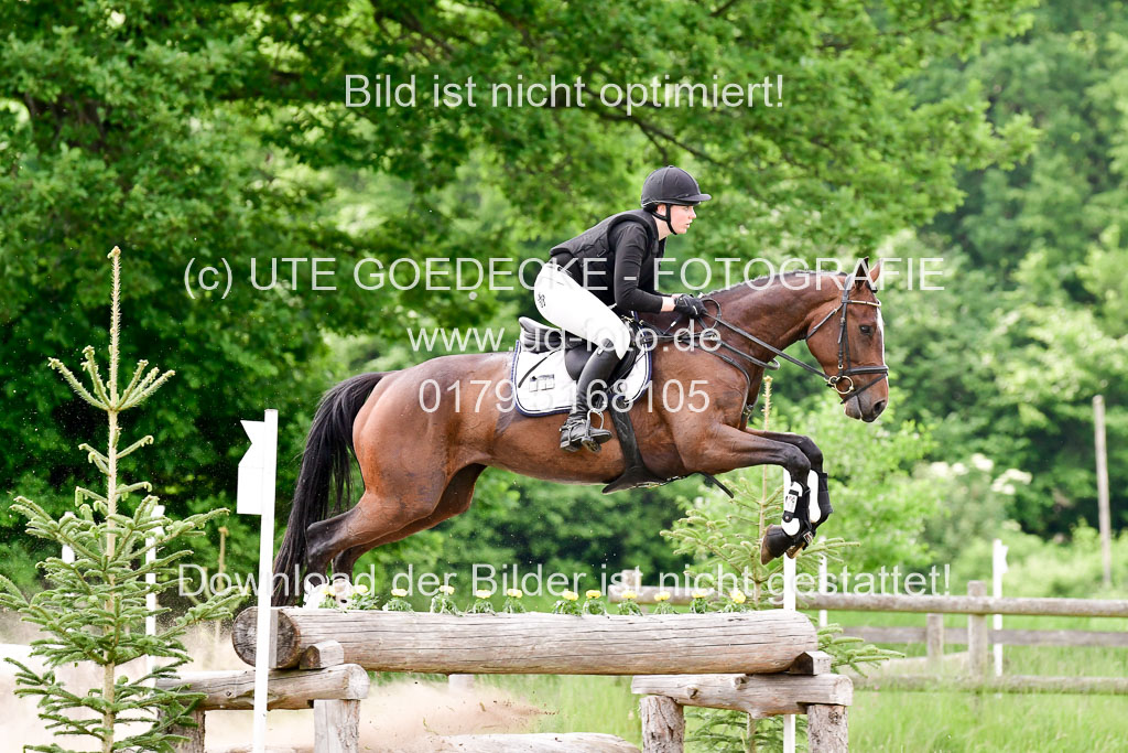 SH-Landeschampionat  der 6 j. Geländepferde  Kl L | 090621 - SH Landeschamp GPF L_111 