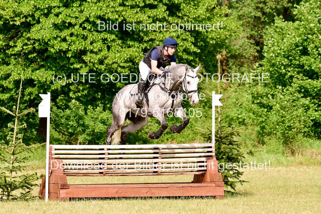 SH-Landeschampionat  der 6 j. Geländepferde  Kl L | 090621 - SH Landeschamp GPF L_112 