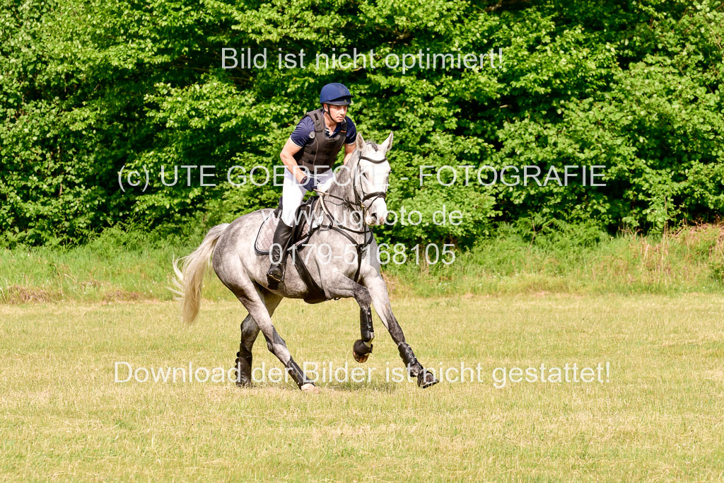 SH-Landeschampionat  der 6 j. Geländepferde  Kl L | 090621 - SH Landeschamp GPF L_113 