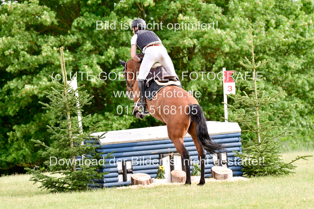 SH-Landeschampionat  der 6 j. Geländepferde  Kl L | 090621 - SH Landeschamp GPF L_131 