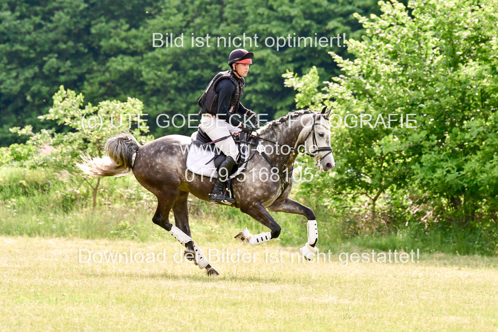 SH-Landeschampionat  der 6 j. Geländepferde  Kl L | 090621 - SH Landeschamp GPF L_149 