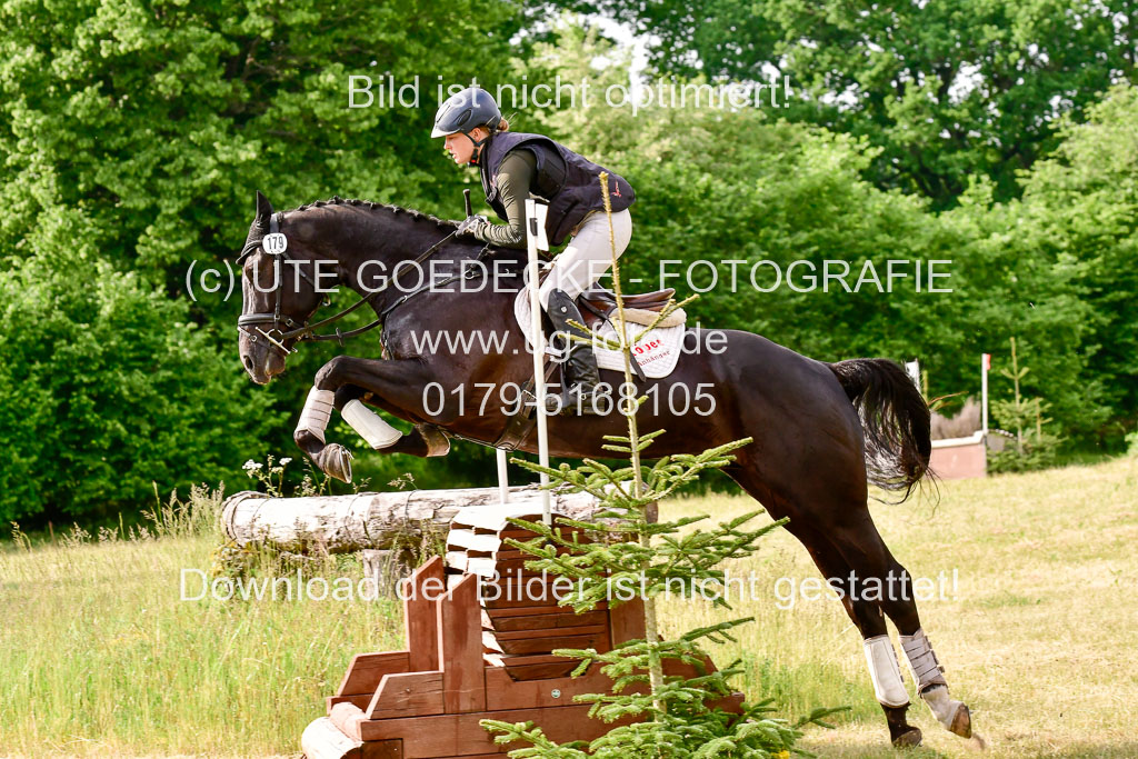 SH-Landeschampionat  der 6 j. Geländepferde  Kl L | 090621 - SH Landeschamp GPF L_153 