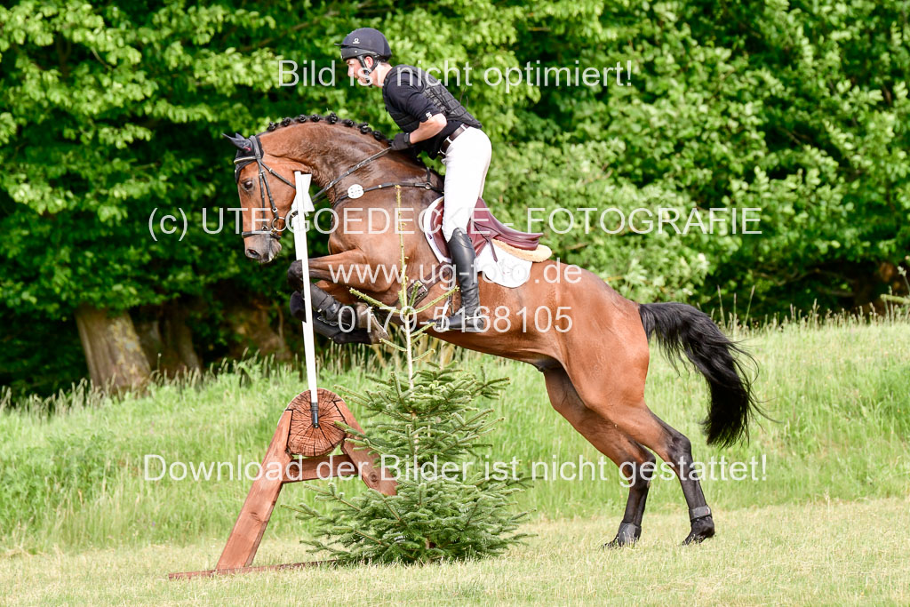 SH-Landeschampionat  der 6 j. Geländepferde  Kl L | 090621 - SH Landeschamp GPF L_170 