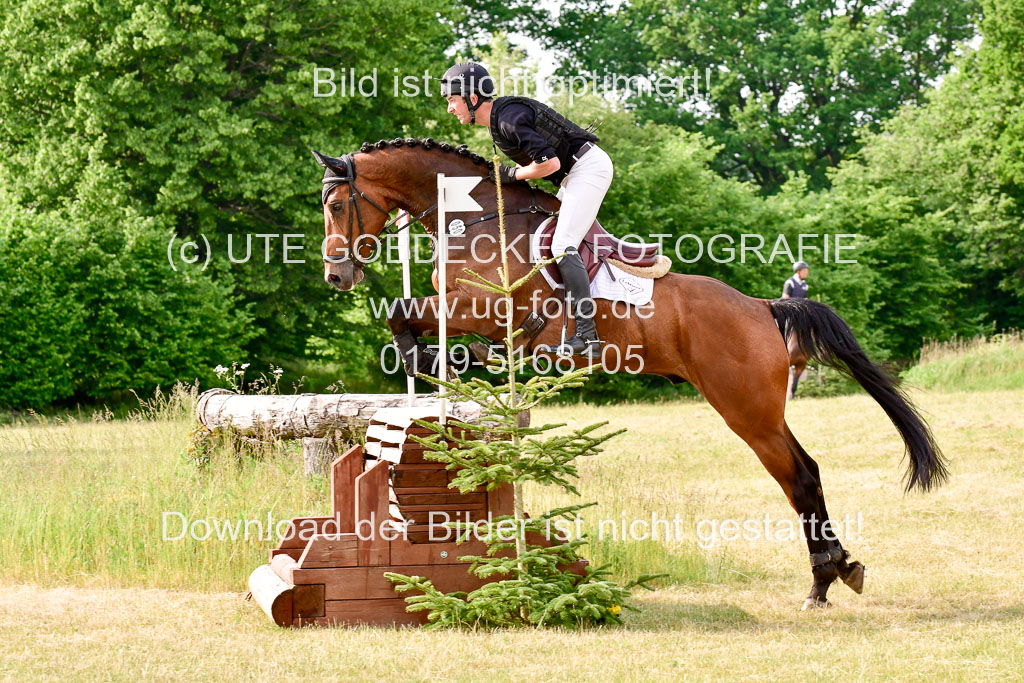 SH-Landeschampionat  der 6 j. Geländepferde  Kl L | 090621 - SH Landeschamp GPF L_174 