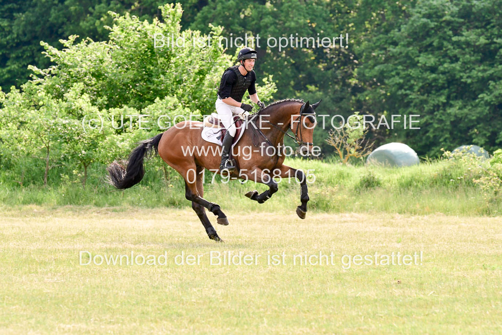 SH-Landeschampionat der 6 j. Geländepferde Kl L | 090621 - SH Landeschamp GPF L_176