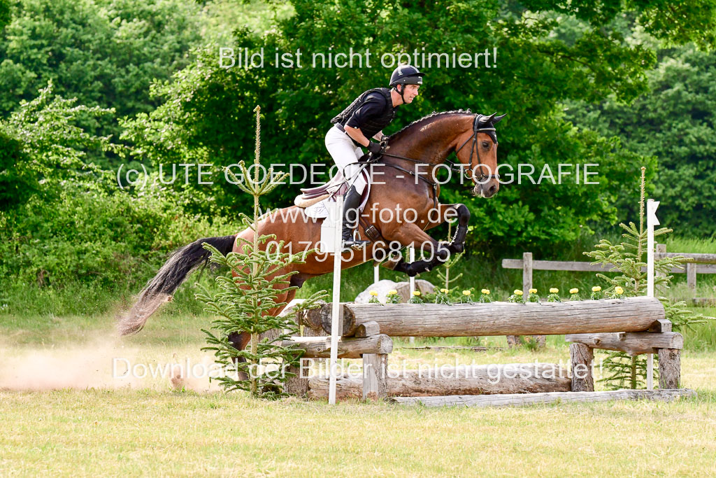 SH-Landeschampionat  der 6 j. Geländepferde  Kl L | 090621 - SH Landeschamp GPF L_182 