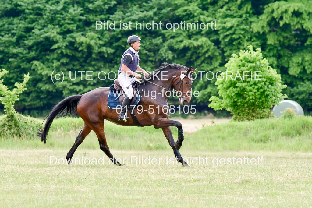 SH-Landeschampionat  der 6 j. Geländepferde  Kl L | 090621 - SH Landeschamp GPF L_194 