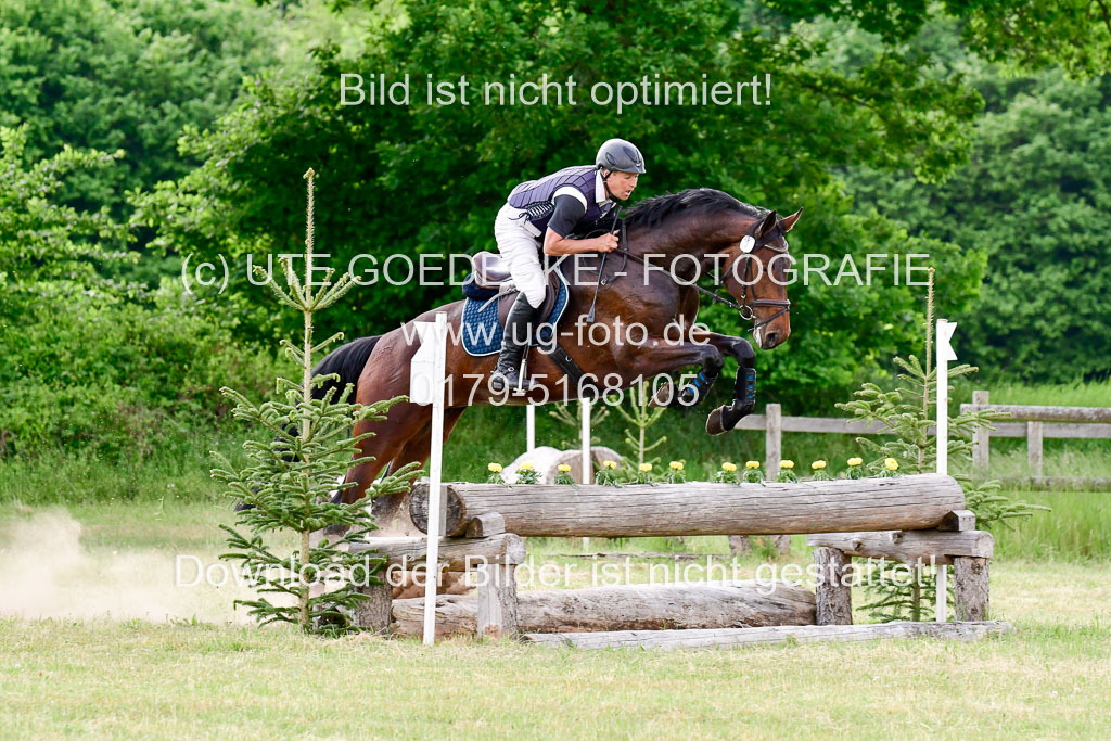 SH-Landeschampionat der 6 j. Geländepferde Kl L | 090621 - SH Landeschamp GPF L_196
