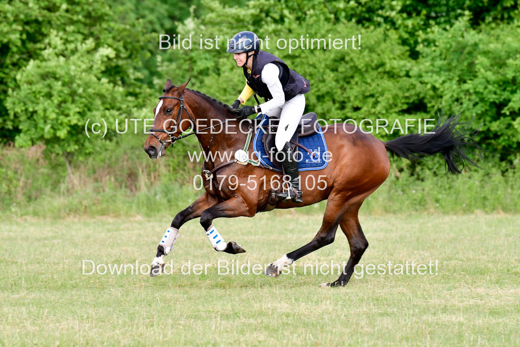 SH-Landeschampionat  der 6 j. Geländepferde  Kl L | 090621 - SH Landeschamp GPF L_202 