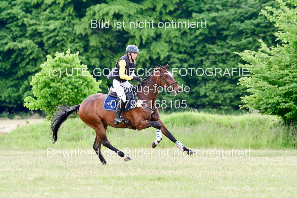 SH-Landeschampionat  der 6 j. Geländepferde  Kl L | 090621 - SH Landeschamp GPF L_204 