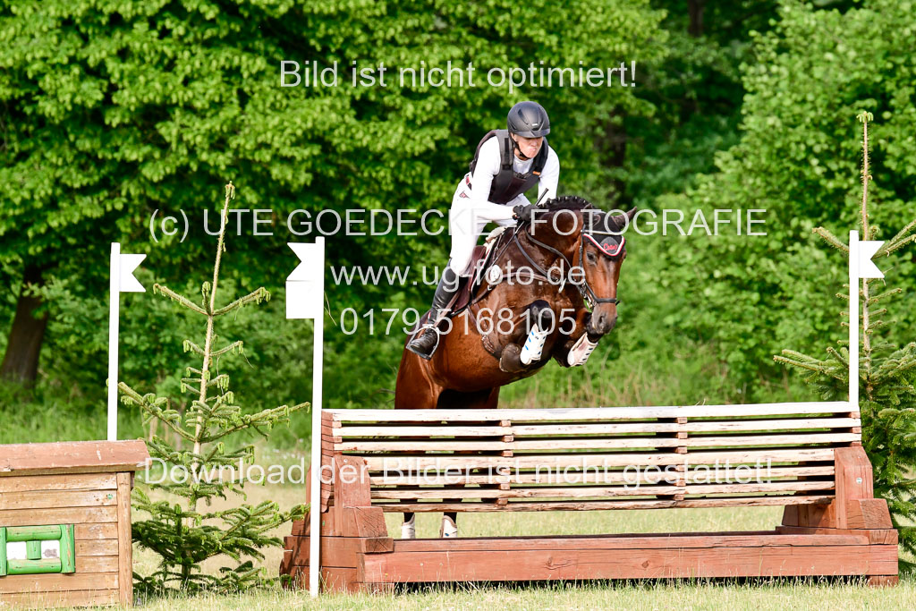 SH-Landeschampionat  der 6 j. Geländepferde  Kl L | 090621 - SH Landeschamp GPF L_207 