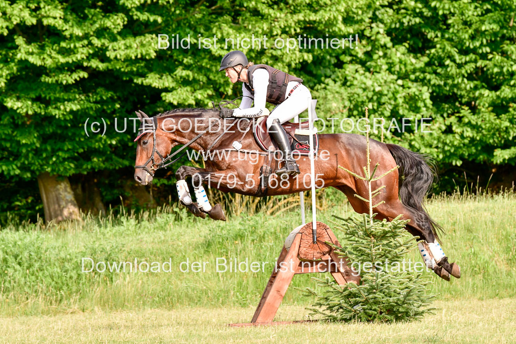 SH-Landeschampionat  der 6 j. Geländepferde  Kl L | 090621 - SH Landeschamp GPF L_211 