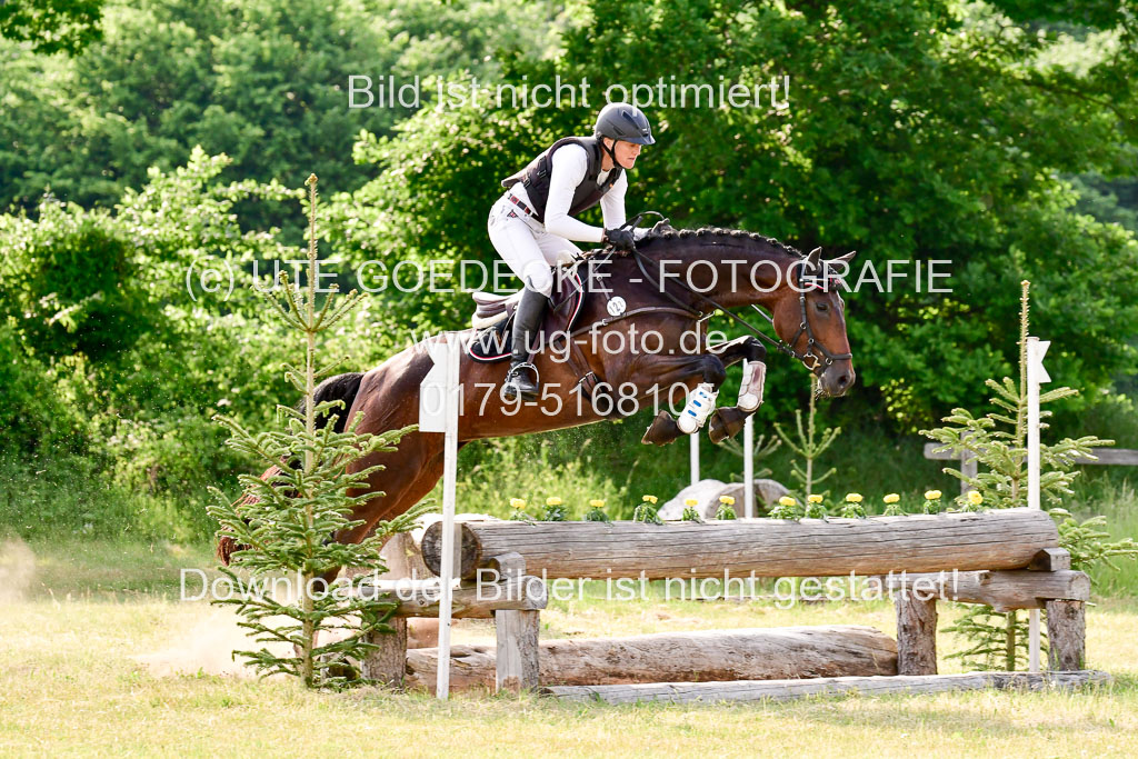 SH-Landeschampionat  der 6 j. Geländepferde  Kl L | 090621 - SH Landeschamp GPF L_213 