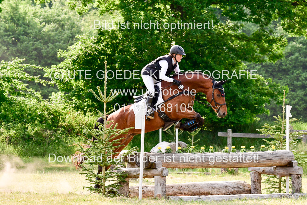 SH-Landeschampionat der 6 j. Geländepferde Kl L | 090621 - SH Landeschamp GPF L_221