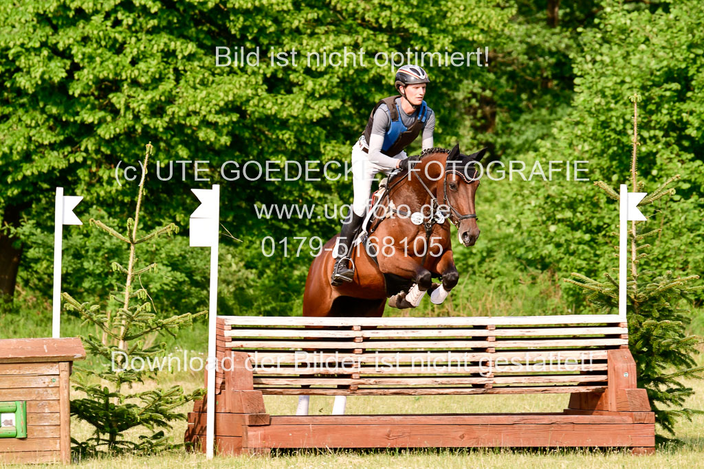 SH-Landeschampionat der 6 j. Geländepferde Kl L | 090621 - SH Landeschamp GPF L_228