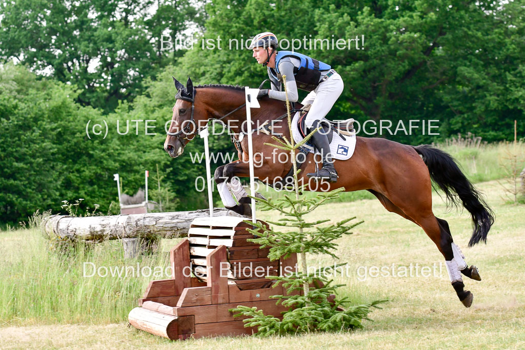 SH-Landeschampionat  der 6 j. Geländepferde  Kl L | 090621 - SH Landeschamp GPF L_231 