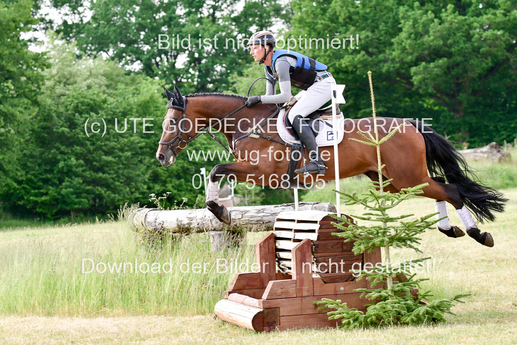 SH-Landeschampionat der 6 j. Geländepferde Kl L | 090621 - SH Landeschamp GPF L_232