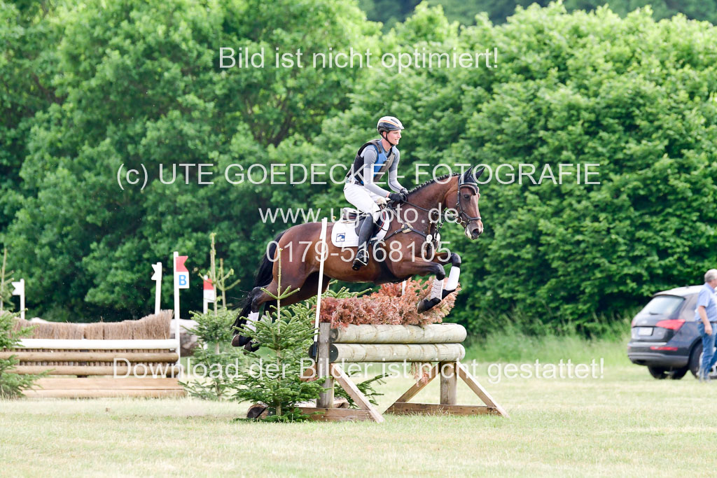 SH-Landeschampionat der 6 j. Geländepferde Kl L | 090621 - SH Landeschamp GPF L_234