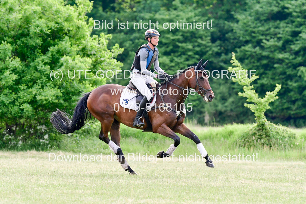 SH-Landeschampionat der 6 j. Geländepferde Kl L | 090621 - SH Landeschamp GPF L_236