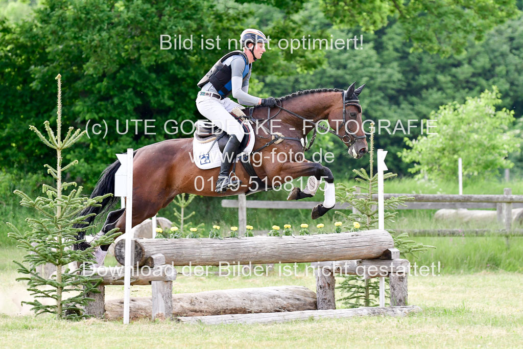 SH-Landeschampionat  der 6 j. Geländepferde  Kl L | 090621 - SH Landeschamp GPF L_238 