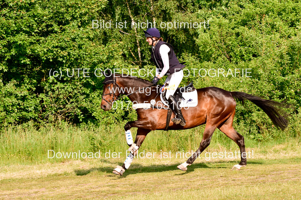 SH-Landeschampionat der 6 j. Geländepferde Kl L | 090621 - SH Landeschamp GPF L_254