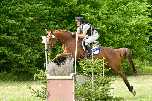 SH-Landeschampionat  der 6 j. Geländepferde  Kl L | 090621 - SH Landeschamp GPF L_017 