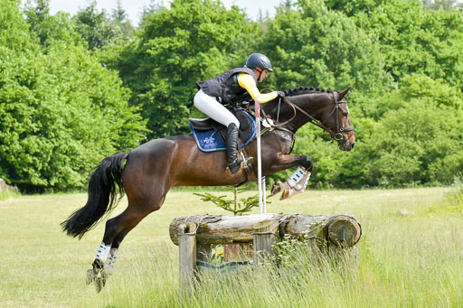 SH-Landeschampionat  der 6 j. Geländepferde  Kl L | 090621 - SH Landeschamp GPF L_021 