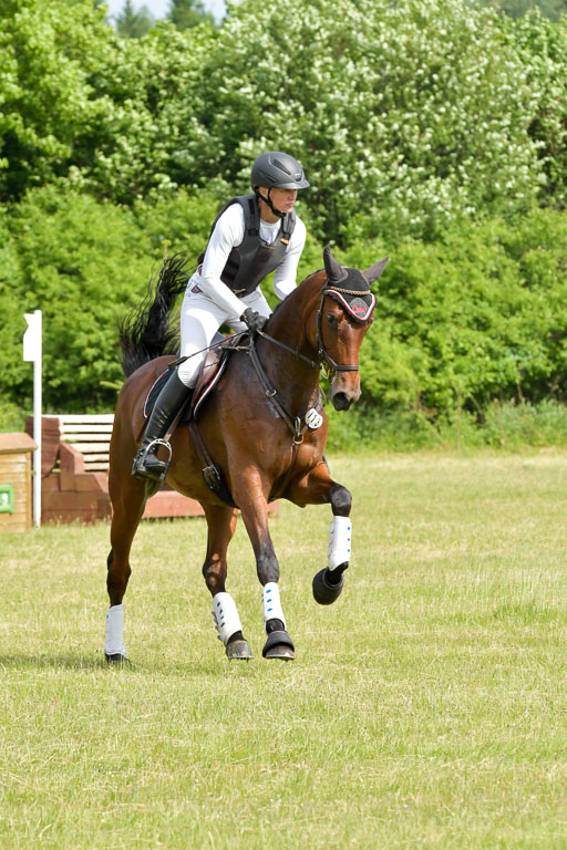 SH-Landeschampionat  der 6 j. Geländepferde  Kl L | 090621 - SH Landeschamp GPF L_027 