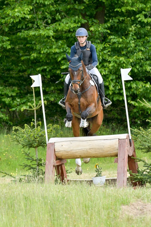 SH-Landeschampionat  der 6 j. Geländepferde  Kl L | 090621 - SH Landeschamp GPF L_029 