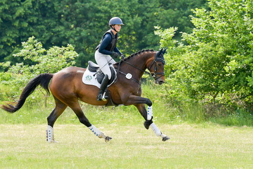 SH-Landeschampionat  der 6 j. Geländepferde  Kl L | 090621 - SH Landeschamp GPF L_031 