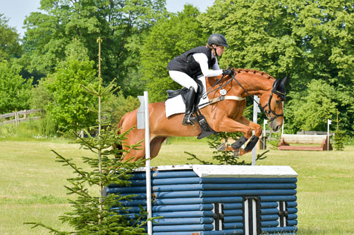 SH-Landeschampionat  der 6 j. Geländepferde  Kl L | 090621 - SH Landeschamp GPF L_035 