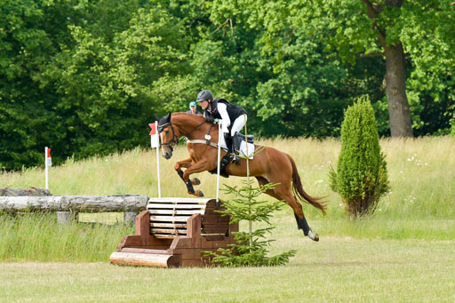 SH-Landeschampionat  der 6 j. Geländepferde  Kl L | 090621 - SH Landeschamp GPF L_037 