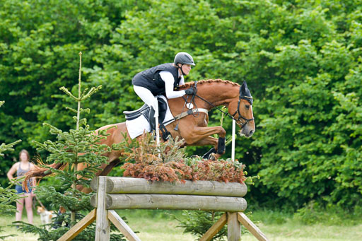 SH-Landeschampionat  der 6 j. Geländepferde  Kl L | 090621 - SH Landeschamp GPF L_038 