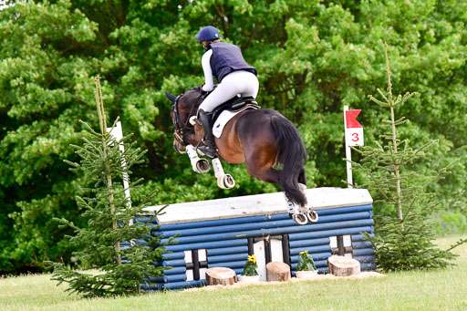 SH-Landeschampionat  der 6 j. Geländepferde  Kl L | 090621 - SH Landeschamp GPF L_046 