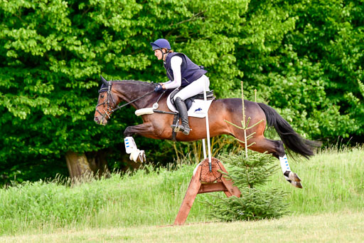 SH-Landeschampionat  der 6 j. Geländepferde  Kl L | 090621 - SH Landeschamp GPF L_048 