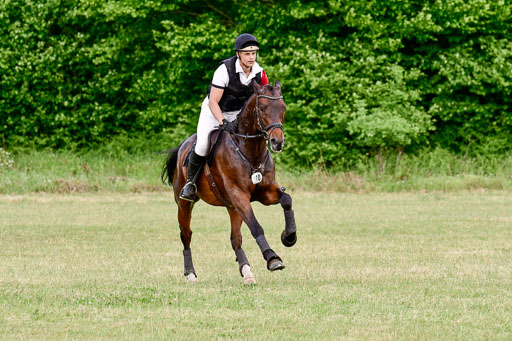SH-Landeschampionat  der 6 j. Geländepferde  Kl L | 090621 - SH Landeschamp GPF L_055 