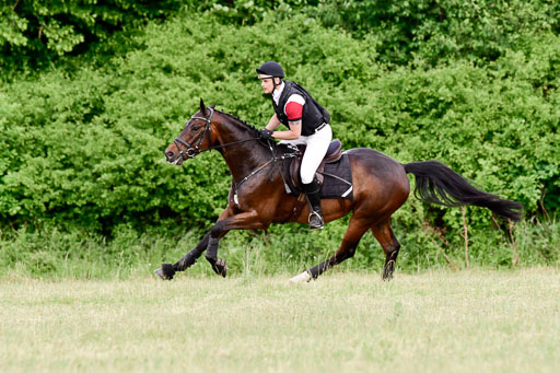 SH-Landeschampionat  der 6 j. Geländepferde  Kl L | 090621 - SH Landeschamp GPF L_058 