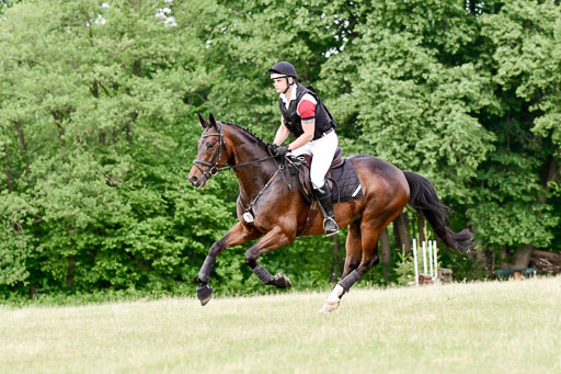 SH-Landeschampionat  der 6 j. Geländepferde  Kl L | 090621 - SH Landeschamp GPF L_060 