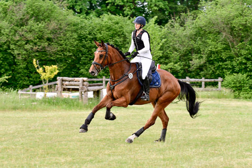 SH-Landeschampionat  der 6 j. Geländepferde  Kl L | 090621 - SH Landeschamp GPF L_065 