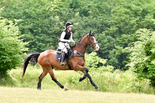 SH-Landeschampionat  der 6 j. Geländepferde  Kl L | 090621 - SH Landeschamp GPF L_081 