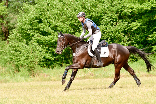 SH-Landeschampionat  der 6 j. Geländepferde  Kl L | 090621 - SH Landeschamp GPF L_088 