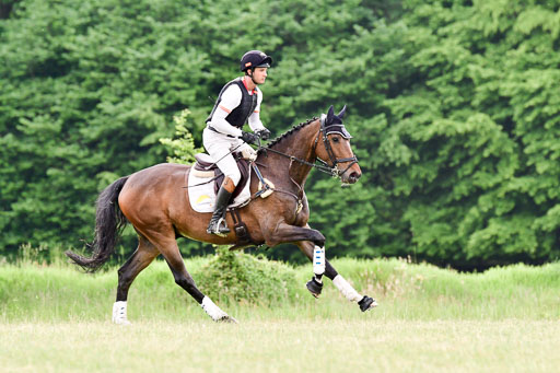 SH-Landeschampionat  der 6 j. Geländepferde  Kl L | 090621 - SH Landeschamp GPF L_099 