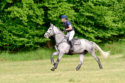 SH-Landeschampionat  der 6 j. Geländepferde  Kl L | 090621 - SH Landeschamp GPF L_116 