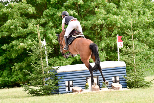 SH-Landeschampionat  der 6 j. Geländepferde  Kl L | 090621 - SH Landeschamp GPF L_132 