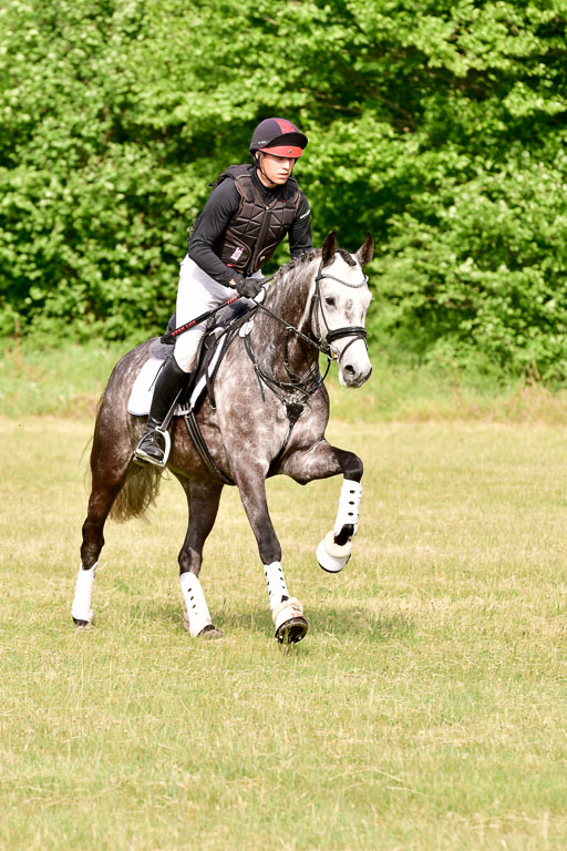 SH-Landeschampionat  der 6 j. Geländepferde  Kl L | 090621 - SH Landeschamp GPF L_140 