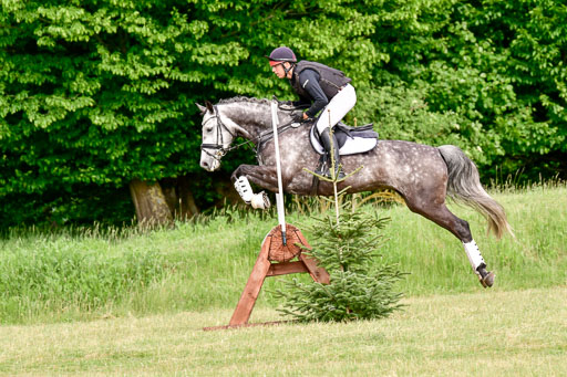 SH-Landeschampionat  der 6 j. Geländepferde  Kl L | 090621 - SH Landeschamp GPF L_142 