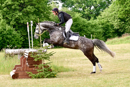 SH-Landeschampionat  der 6 j. Geländepferde  Kl L | 090621 - SH Landeschamp GPF L_144 